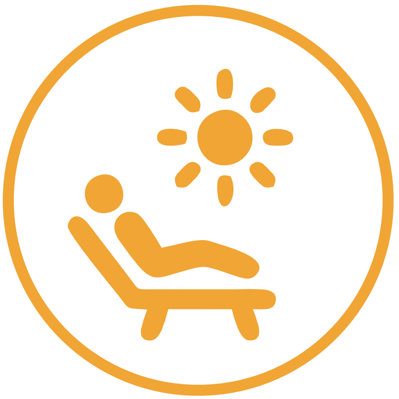 Visa Central Website leisure icon