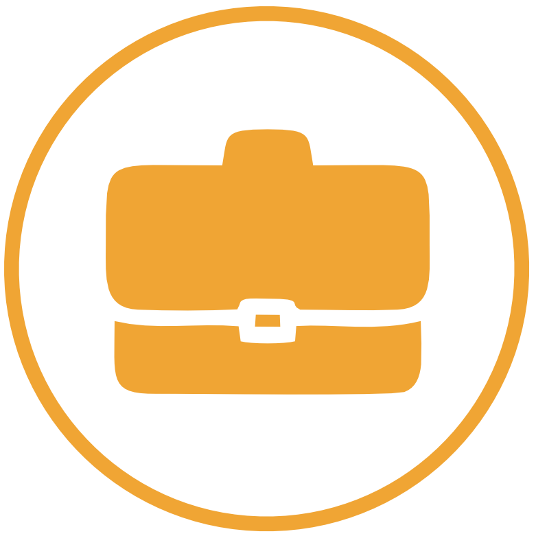 Visa Central Website work icon